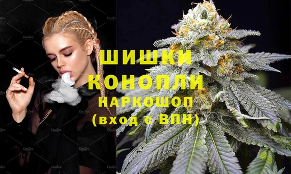 индика Майский